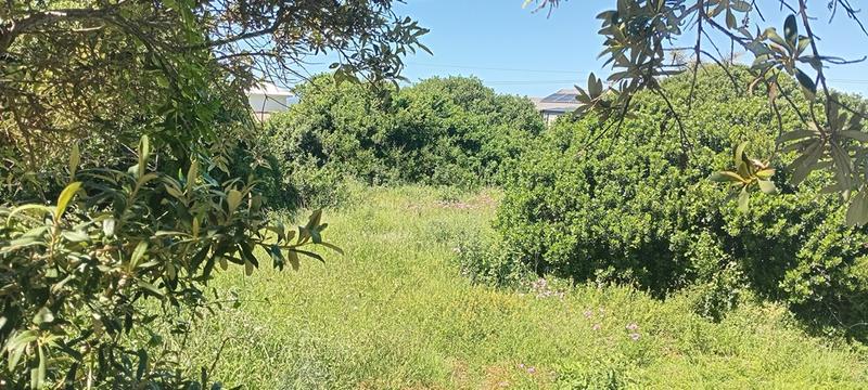 0 Bedroom Property for Sale in Reebok Western Cape